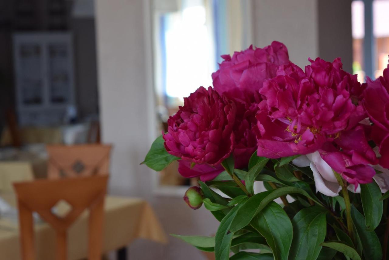 Kalmar Bed & Breakfast Darlowko Eksteriør bilde